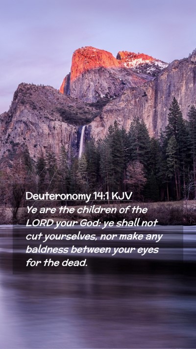 Picture 02 - Deuteronomy 14:1 KJV Mobile Phone Wallpaper - Ye are the children of the LORD your God: ye - Mobile Bible Verse Wallpaper