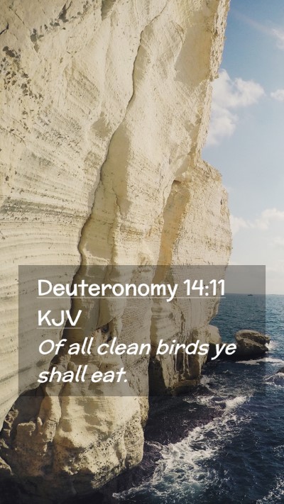 Picture 02 - Deuteronomy 14:11 KJV Mobile Phone Wallpaper - Of all clean birds ye shall - Mobile Bible Verse Wallpaper