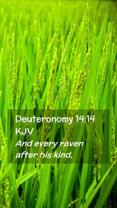Picture 02 - Deuteronomy 14:14 KJV Mobile Phone Wallpaper - And every raven after his - Mobile Bible Verse Wallpaper