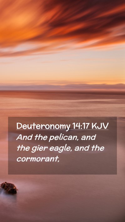 Picture 02 - Deuteronomy 14:17 KJV Mobile Phone Wallpaper - And the pelican, and the gier eagle, and the - Mobile Bible Verse Wallpaper