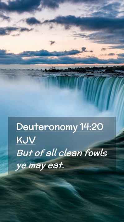 Picture 02 - Deuteronomy 14:20 KJV Mobile Phone Wallpaper - But of all clean fowls ye may - Mobile Bible Verse Wallpaper