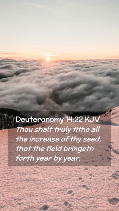 Picture 02 - Deuteronomy 14:22 KJV Mobile Phone Wallpaper - Thou shalt truly tithe all the increase of thy - Mobile Bible Verse Wallpaper