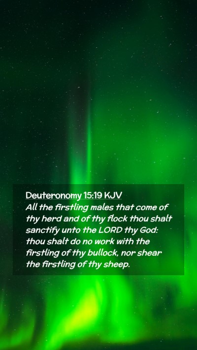 Picture 02 - Deuteronomy 15:19 KJV Mobile Phone Wallpaper - All the firstling males that come of thy herd and - Mobile Bible Verse Wallpaper