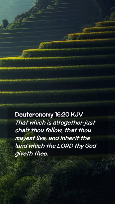 Picture 02 - Deuteronomy 16:20 KJV Mobile Phone Wallpaper - That which is altogether just shalt thou follow, - Mobile Bible Verse Wallpaper