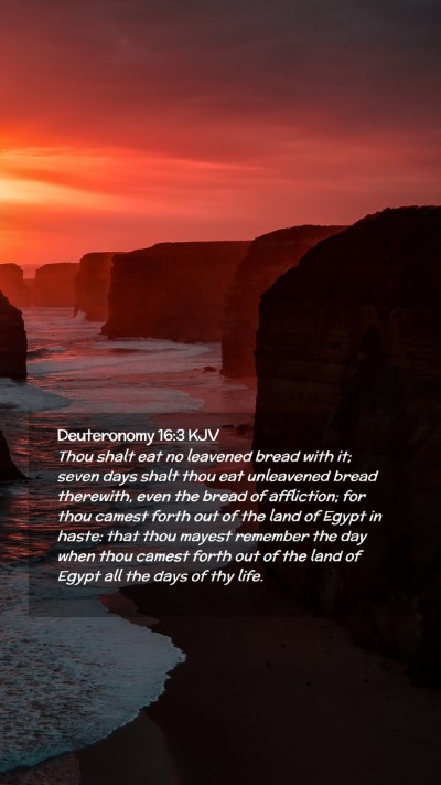 Picture 02 - Deuteronomy 16:3 KJV Mobile Phone Wallpaper - Thou shalt eat no leavened bread with it; seven - Mobile Bible Verse Wallpaper