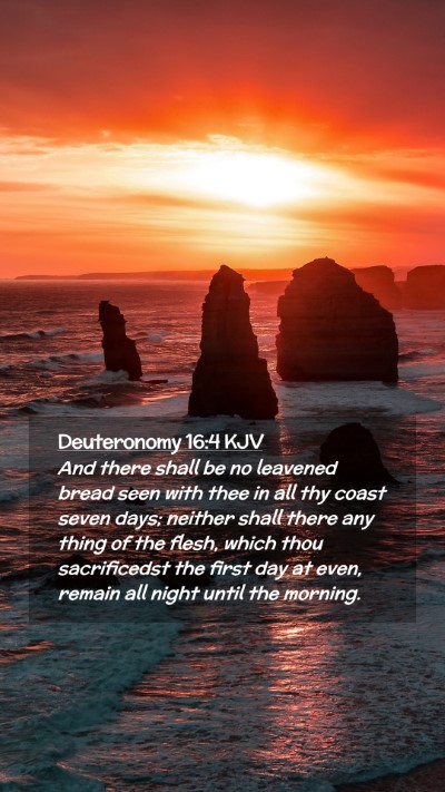 Picture 02 - Deuteronomy 16:4 KJV Mobile Phone Wallpaper - And there shall be no leavened bread seen with - Mobile Bible Verse Wallpaper