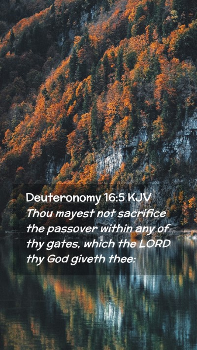 Picture 02 - Deuteronomy 16:5 KJV Mobile Phone Wallpaper - Thou mayest not sacrifice the passover within any - Mobile Bible Verse Wallpaper
