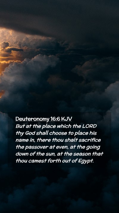 Picture 02 - Deuteronomy 16:6 KJV Mobile Phone Wallpaper - But at the place which the LORD thy God shall - Mobile Bible Verse Wallpaper