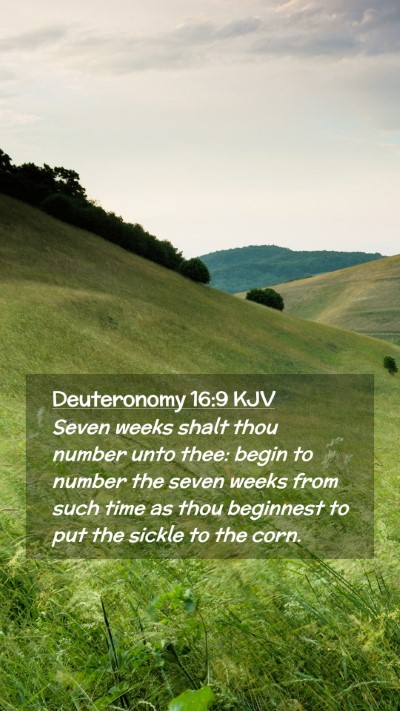 Picture 02 - Deuteronomy 16:9 KJV Mobile Phone Wallpaper - Seven weeks shalt thou number unto thee: begin to - Mobile Bible Verse Wallpaper