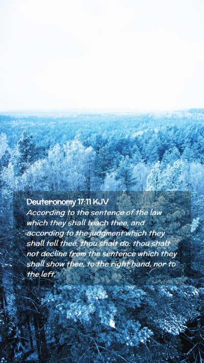 Picture 02 - Deuteronomy 17:11 KJV Mobile Phone Wallpaper - According to the sentence of the law which they - Mobile Bible Verse Wallpaper