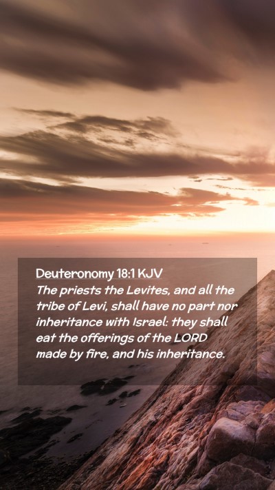 Picture 02 - Deuteronomy 18:1 KJV Mobile Phone Wallpaper - The priests the Levites, and all the tribe of - Mobile Bible Verse Wallpaper