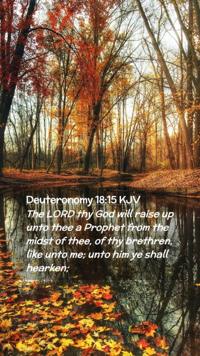 Picture 02 - Deuteronomy 18:15 KJV Mobile Phone Wallpaper - The LORD thy God will raise up unto thee a - Mobile Bible Verse Wallpaper