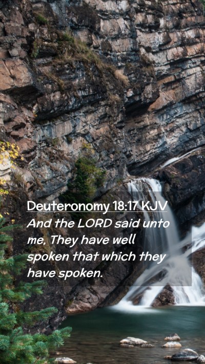 Picture 02 - Deuteronomy 18:17 KJV Mobile Phone Wallpaper - And the LORD said unto me, They have well spoken - Mobile Bible Verse Wallpaper