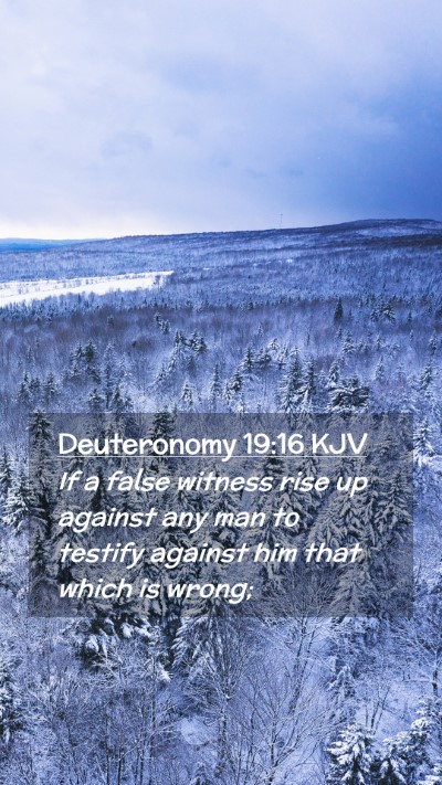 Picture 02 - Deuteronomy 19:16 KJV Mobile Phone Wallpaper - If a false witness rise up against any man to - Mobile Bible Verse Wallpaper