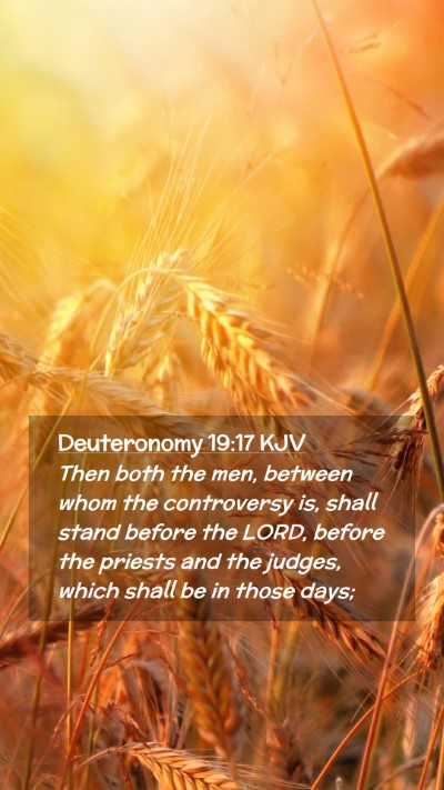 Picture 02 - Deuteronomy 19:17 KJV Mobile Phone Wallpaper - Then both the men, between whom the controversy - Mobile Bible Verse Wallpaper