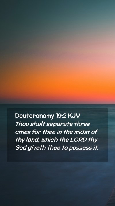 Picture 02 - Deuteronomy 19:2 KJV Mobile Phone Wallpaper - Thou shalt separate three cities for thee in the - Mobile Bible Verse Wallpaper