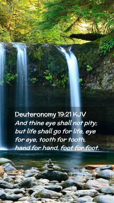 Picture 02 - Deuteronomy 19:21 KJV Mobile Phone Wallpaper - And thine eye shall not pity; but life shall go - Mobile Bible Verse Wallpaper