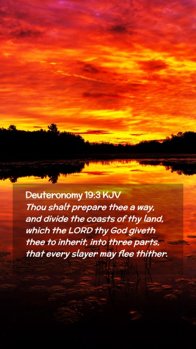 Picture 02 - Deuteronomy 19:3 KJV Mobile Phone Wallpaper - Thou shalt prepare thee a way, and divide the - Mobile Bible Verse Wallpaper