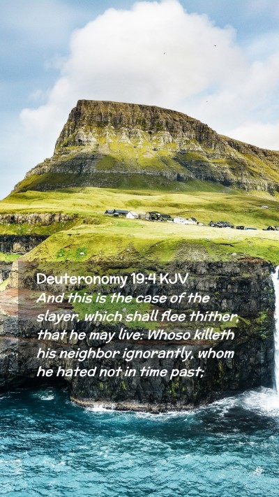 Picture 02 - Deuteronomy 19:4 KJV Mobile Phone Wallpaper - And this is the case of the slayer, which shall - Mobile Bible Verse Wallpaper