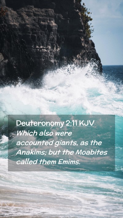 Picture 02 - Deuteronomy 2:11 KJV Mobile Phone Wallpaper - Which also were accounted giants, as the Anakims; - Mobile Bible Verse Wallpaper