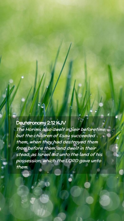 Picture 02 - Deuteronomy 2:12 KJV Mobile Phone Wallpaper - The Horims also dwelt in Seir beforetime; but the - Mobile Bible Verse Wallpaper