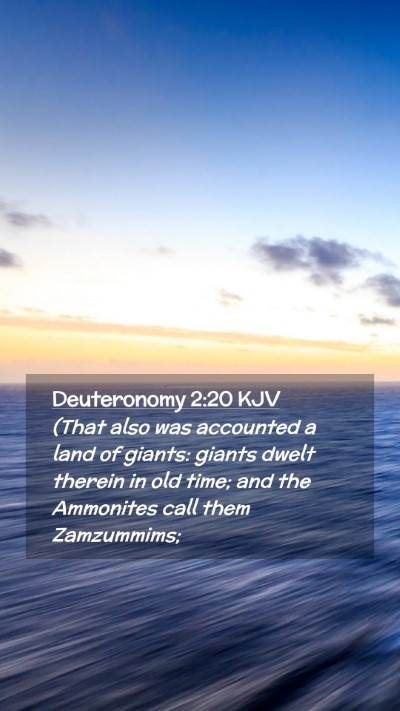 Picture 02 - Deuteronomy 2:20 KJV Mobile Phone Wallpaper - (That also was accounted a land of giants: giants - Mobile Bible Verse Wallpaper