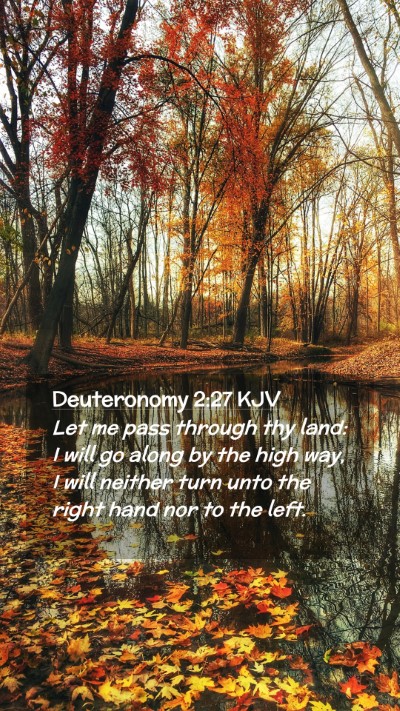 Picture 02 - Deuteronomy 2:27 KJV Mobile Phone Wallpaper - Let me pass through thy land: I will go along by - Mobile Bible Verse Wallpaper