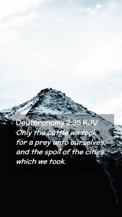 Picture 02 - Deuteronomy 2:35 KJV Mobile Phone Wallpaper - Only the cattle we took for a prey unto - Mobile Bible Verse Wallpaper
