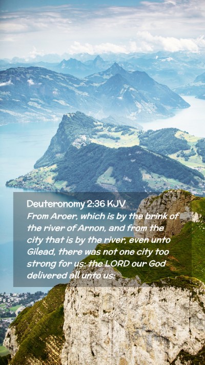 Picture 02 - Deuteronomy 2:36 KJV Mobile Phone Wallpaper - From Aroer, which is by the brink of the river of - Mobile Bible Verse Wallpaper
