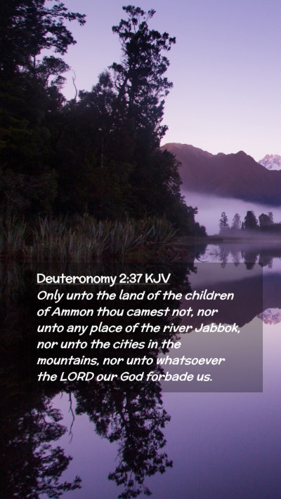 Picture 02 - Deuteronomy 2:37 KJV Mobile Phone Wallpaper - Only unto the land of the children of Ammon thou - Mobile Bible Verse Wallpaper