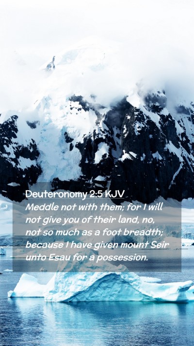 Picture 02 - Deuteronomy 2:5 KJV Mobile Phone Wallpaper - Meddle not with them; for I will not give you of - Mobile Bible Verse Wallpaper
