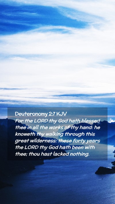 Picture 02 - Deuteronomy 2:7 KJV Mobile Phone Wallpaper - For the LORD thy God hath blessed thee in all the - Mobile Bible Verse Wallpaper