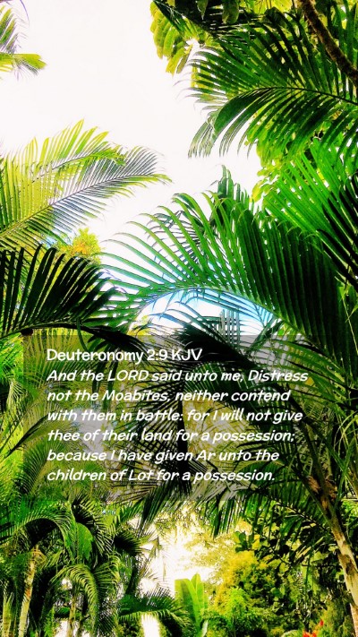 Picture 02 - Deuteronomy 2:9 KJV Mobile Phone Wallpaper - And the LORD said unto me, Distress not the - Mobile Bible Verse Wallpaper