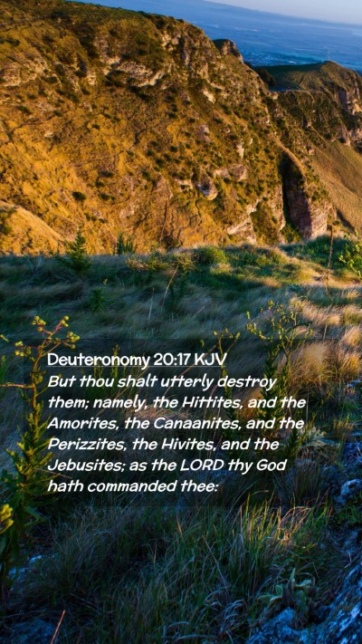 Picture 02 - Deuteronomy 20:17 KJV Mobile Phone Wallpaper - But thou shalt utterly destroy them; namely, the - Mobile Bible Verse Wallpaper