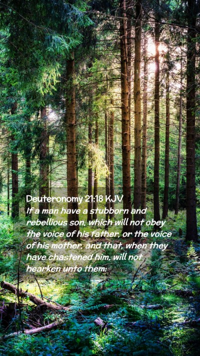 Picture 02 - Deuteronomy 21:18 KJV Mobile Phone Wallpaper - If a man have a stubborn and rebellious son, - Mobile Bible Verse Wallpaper