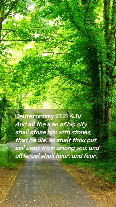 Picture 02 - Deuteronomy 21:21 KJV Mobile Phone Wallpaper - And all the men of his city shall stone him with - Mobile Bible Verse Wallpaper