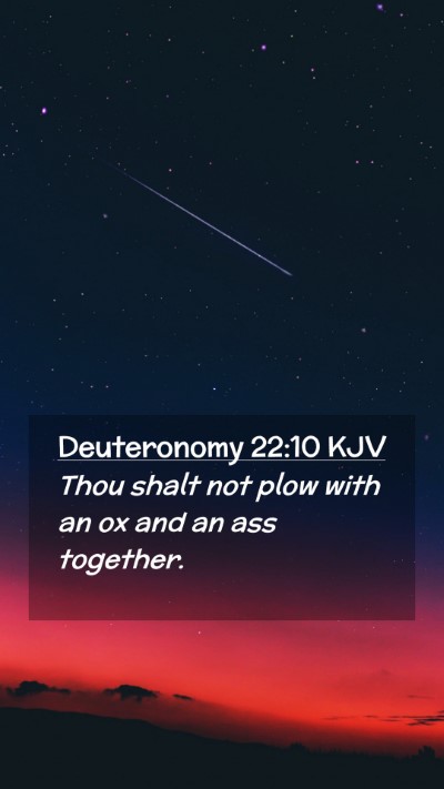Picture 02 - Deuteronomy 22:10 KJV Mobile Phone Wallpaper - Thou shalt not plow with an ox and an ass - Mobile Bible Verse Wallpaper