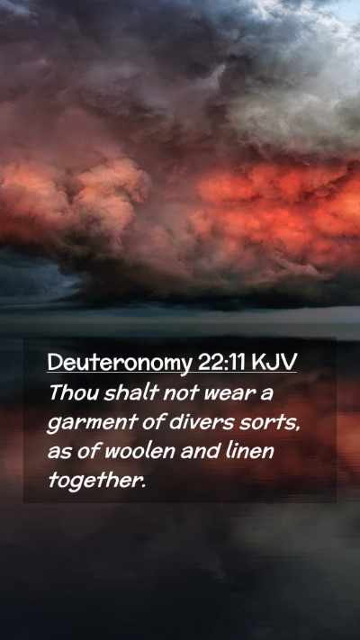 Picture 02 - Deuteronomy 22:11 KJV Mobile Phone Wallpaper - Thou shalt not wear a garment of divers sorts, as - Mobile Bible Verse Wallpaper
