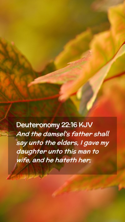 Picture 02 - Deuteronomy 22:16 KJV Mobile Phone Wallpaper - And the damsel's father shall say unto the - Mobile Bible Verse Wallpaper