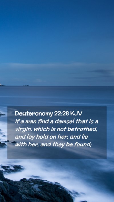 Picture 02 - Deuteronomy 22:28 KJV Mobile Phone Wallpaper - If a man find a damsel that is a virgin, which is - Mobile Bible Verse Wallpaper