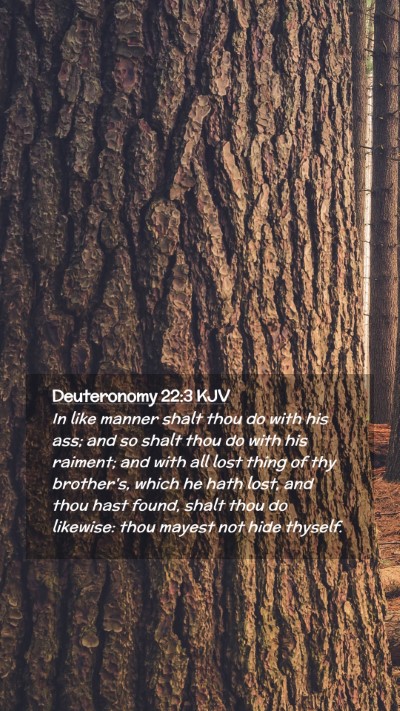 Picture 02 - Deuteronomy 22:3 KJV Mobile Phone Wallpaper - In like manner shalt thou do with his ass; and so - Mobile Bible Verse Wallpaper