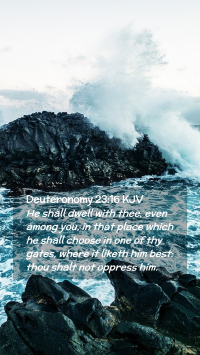 Picture 02 - Deuteronomy 23:16 KJV Mobile Phone Wallpaper - He shall dwell with thee, even among you, in that - Mobile Bible Verse Wallpaper