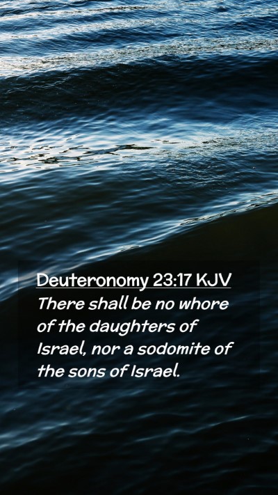 Picture 02 - Deuteronomy 23:17 KJV Mobile Phone Wallpaper - There shall be no whore of the daughters of - Mobile Bible Verse Wallpaper