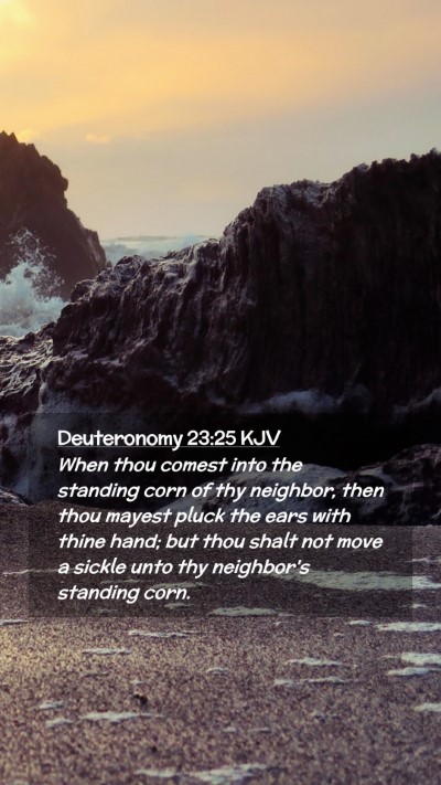 Picture 02 - Deuteronomy 23:25 KJV Mobile Phone Wallpaper - When thou comest into the standing corn of thy - Mobile Bible Verse Wallpaper