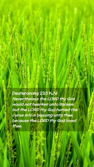 Picture 02 - Deuteronomy 23:5 KJV Mobile Phone Wallpaper - Nevertheless the LORD thy God would not hearken - Mobile Bible Verse Wallpaper