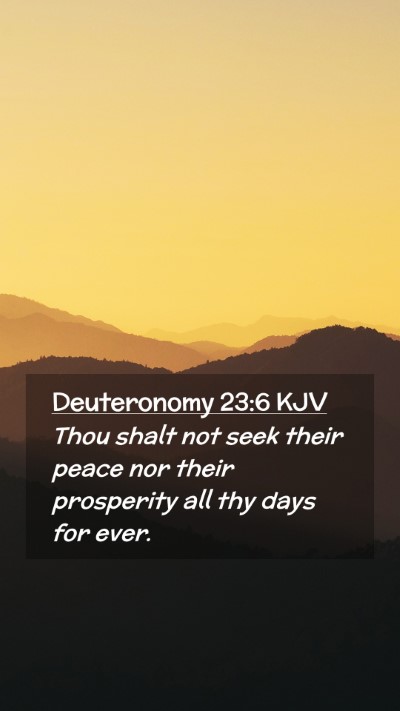 Picture 02 - Deuteronomy 23:6 KJV Mobile Phone Wallpaper - Thou shalt not seek their peace nor their - Mobile Bible Verse Wallpaper