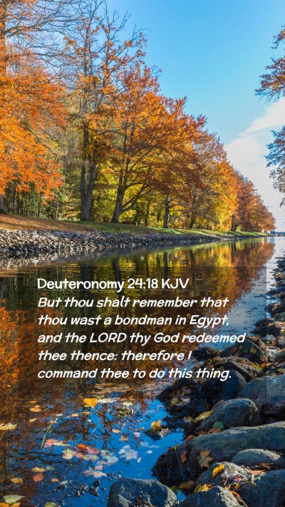 Picture 02 - Deuteronomy 24:18 KJV Mobile Phone Wallpaper - But thou shalt remember that thou wast a bondman - Mobile Bible Verse Wallpaper