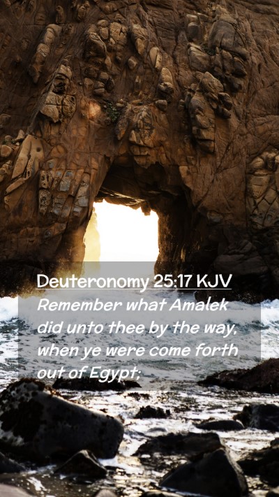 Picture 02 - Deuteronomy 25:17 KJV Mobile Phone Wallpaper - Remember what Amalek did unto thee by the way, - Mobile Bible Verse Wallpaper