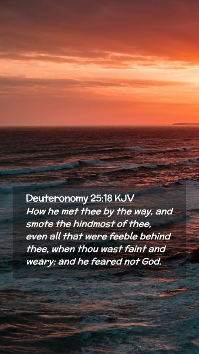 Picture 02 - Deuteronomy 25:18 KJV Mobile Phone Wallpaper - How he met thee by the way, and smote the - Mobile Bible Verse Wallpaper