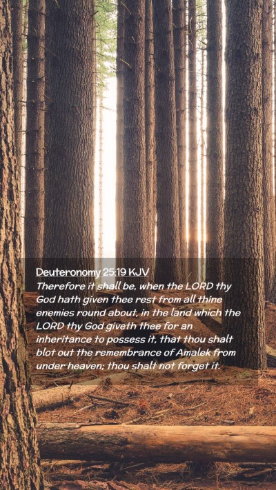 Picture 02 - Deuteronomy 25:19 KJV Mobile Phone Wallpaper - Therefore it shall be, when the LORD thy God hath - Mobile Bible Verse Wallpaper